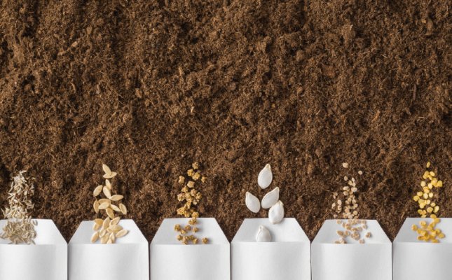 Stand Les différents types de graines