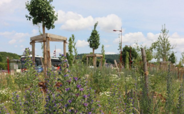 La biodiversité en ville