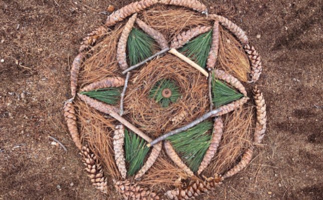 Mandalas naturels