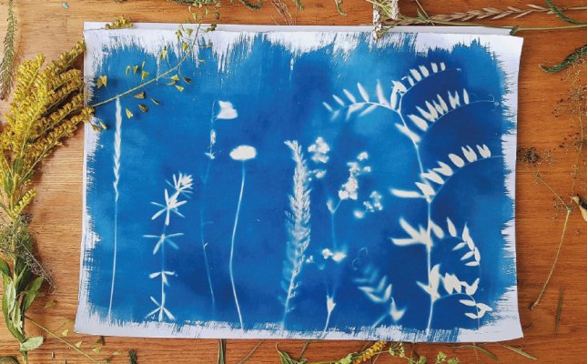 Cyanotype