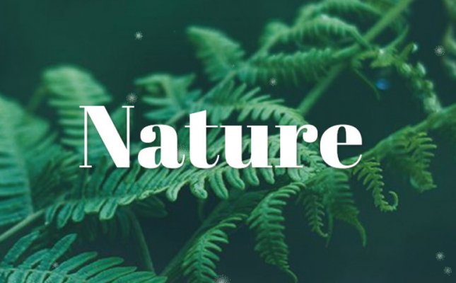 Ecrire au naturel