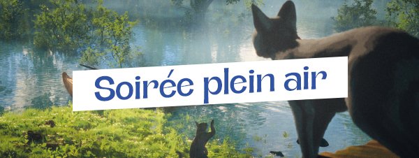 Soirée plein air